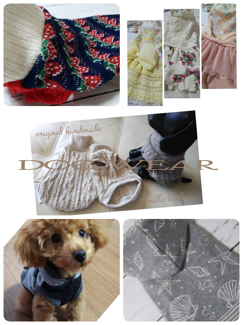 19-11-20-23-49-10-058_deco.jpg#asset:1513