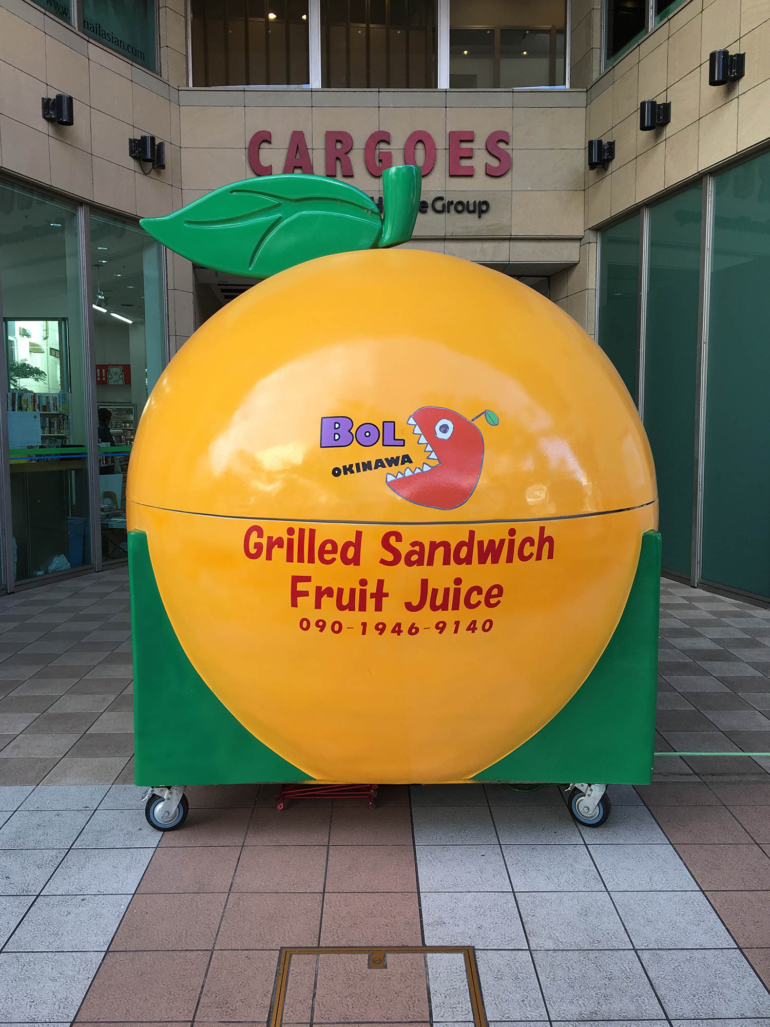 6.jpeg#asset:1556